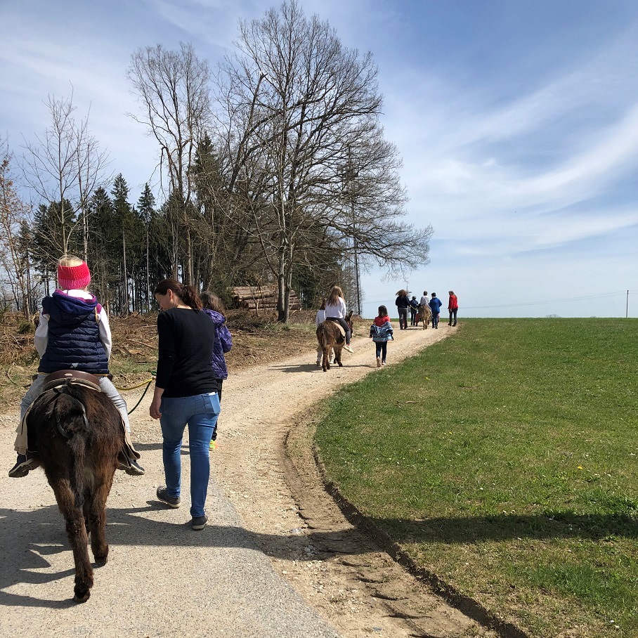 Eselwanderung mit betroffenen Kindern