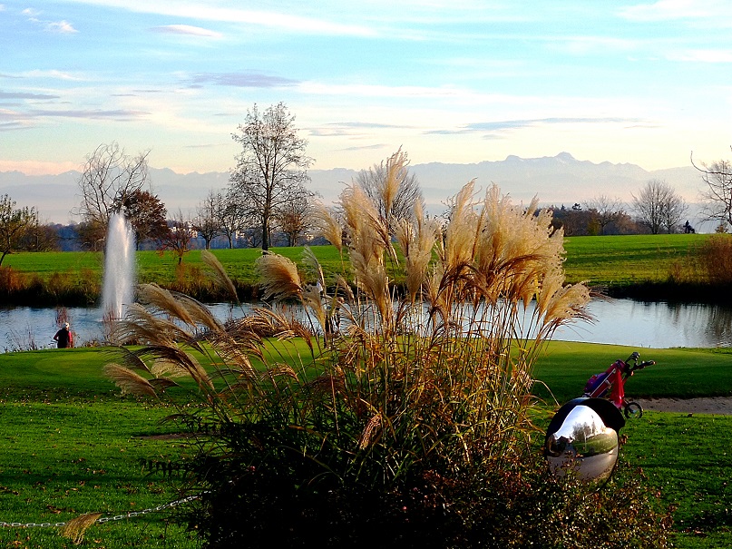 Golfplatz Hofgut Lugenhof mit Blick über den See zu den Schweizer Alpen